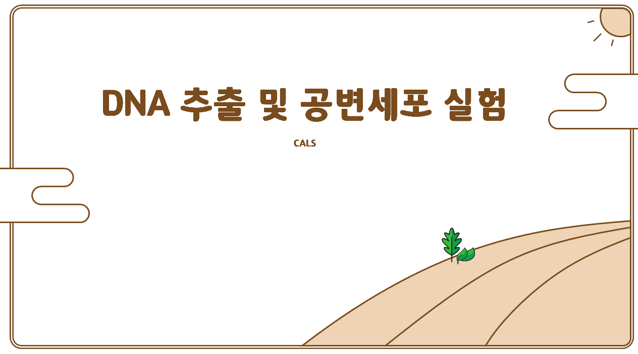 캡처.PNG